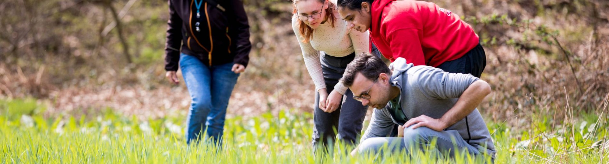 Biologie studenten en docenten kijken nieuwsgierig op het gras