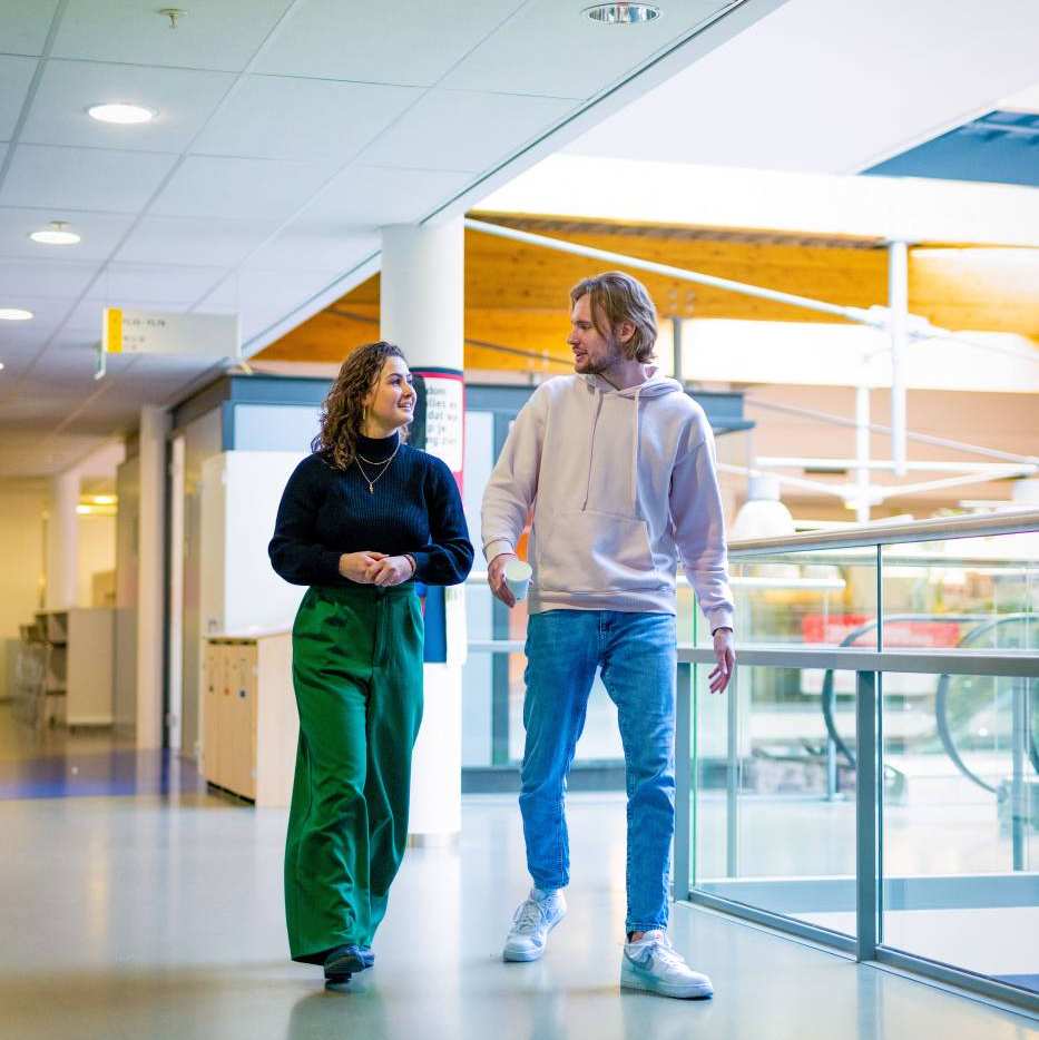 Accountancy, studenten, trappenhuis, financieel, 1342, 2023